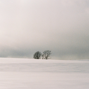 性视频一区二区三区
